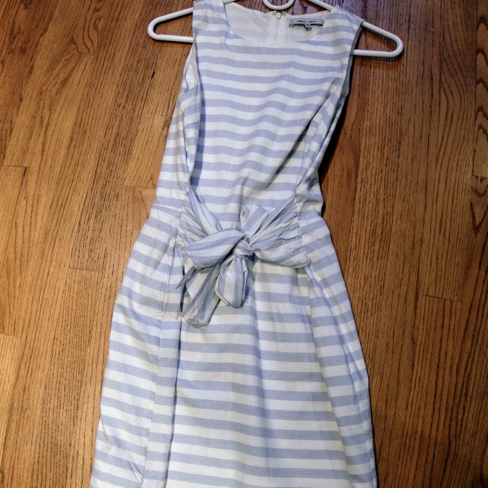 Naked Zebra Striped Dress